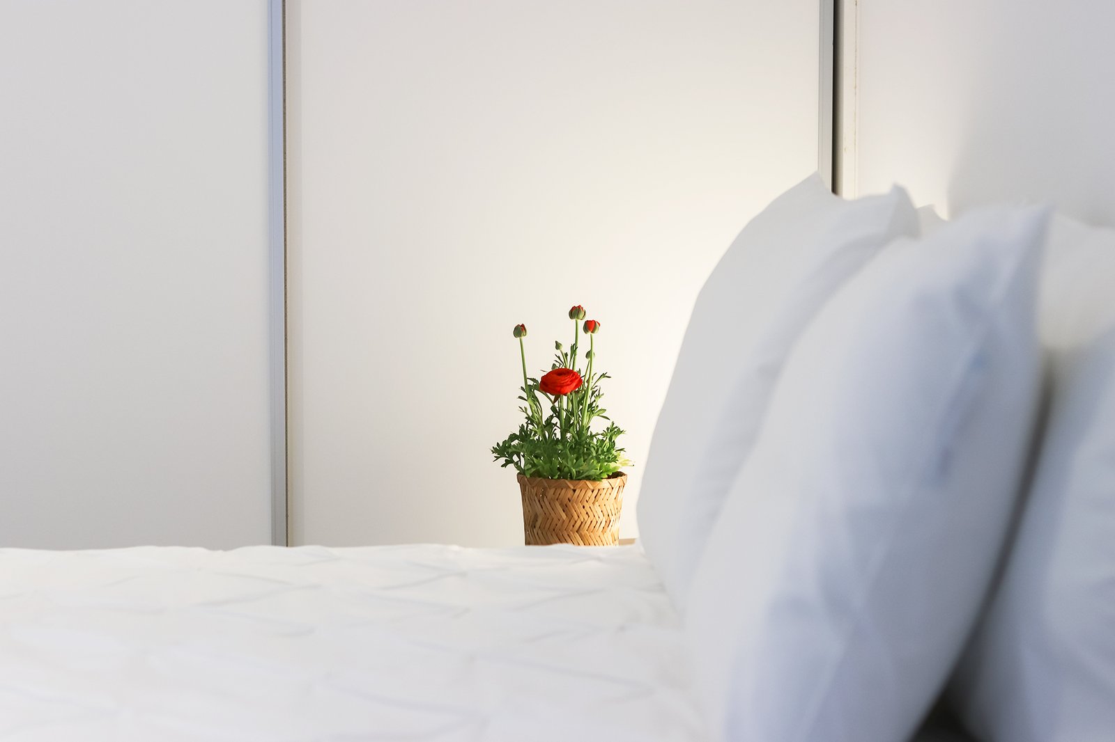 Studio Bedroom — Ajuda 6, RCE(601), Ajuda